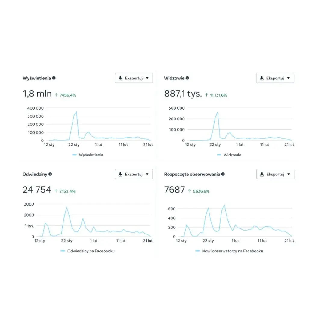 Wyniki kampanii social media z wykresami wyświetleń, odwiedzin i nowych obserwujących